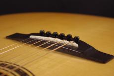 YAMAHA LL86 ARE Custom_6