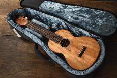 Martin Concert C1K_2