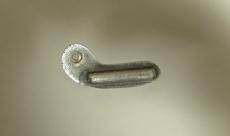 Mosrite USA モズライト社1980年～1990年製造品　テールピース　_4