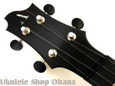 Akira Niihori Ukulele [Somali] テナー4弦 17.5-18インチ ファンフレット サイドホール #04030 ウエスタンレッドシダー/インディアンローズウッド_13