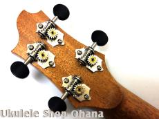 Akira Niihori Ukulele [Somali] テナー4弦 17.5-18インチ ファンフレット サイドホール #04030 ウエスタンレッドシダー/インディアンローズウッド_14