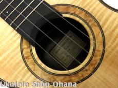 Akira Niihori Ukulele [Lizard] グランドコンサート サイドホール #05033 CW/AR カーリー栃/インディアンローズウッド(裏1P)_7
