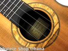 Akira Niihori Ukulele [Daizu] スモールコンサート サイドホール #06006 ウエスタンレッドシダー/インディアンローズウッド_11