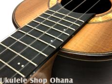 Akira Niihori Ukulele [Daizu] スモールコンサート サイドホール #06006 ウエスタンレッドシダー/インディアンローズウッド_15