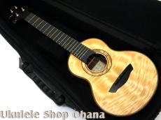 Akira Niihori Ukulele [Daizu] スモールコンサート サイドホール #06005 カーリー栃/アメリカンウォルナット_5