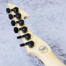 Ormsby Guitars HYPE G6 FLOYD MH MAGENTA【6弦】_9