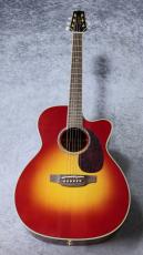 Takamine FPT752C CYS_2