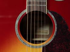 Takamine FPT752C CYS_3