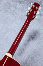 Takamine FPT752C CYS_8