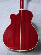 Takamine FPT752C CYS_10