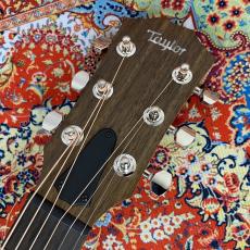 Taylor Gte Urban Ash【現物画像】_8