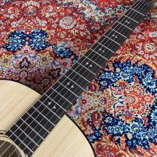 Taylor Gte Urban Ash【現物画像】_10