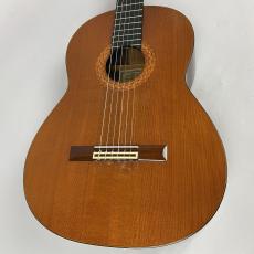 Marcelo Barbero Hijo マルセロ・バルベロ・イーホ (パラカサ アルカンヘル)  杉(シダー)・ローズウッド 1979年製【現物画像】