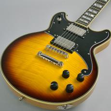 D'Angelico Deluxe Brighton Vintage Sunburst_3