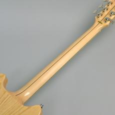 D'Angelico Deluxe Brighton Vintage Sunburst_9