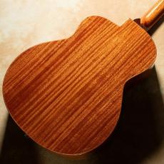 aNueNue aNN-LF230E_5