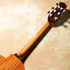 aNueNue aNN-LF230E_6