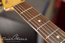 Nash Guitars 2013 T63 (Candy Pulple)_6