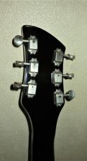 Rickenbacker 350V63_5