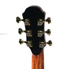 Naga Guitars Kotaro Oshio Signature "Wings" Series - Cutaway_8