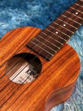 Kamaka HF-1 Soprano #250814 【ソプラノ・スタンダード】【48回金利0%対象】【送料込】_6