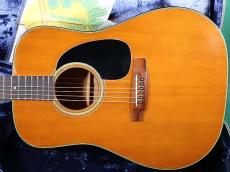 Martin D-19_2