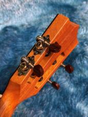 Kamaka HF-3D2I Tenor Deluxe #250491 【テナー・デラックス】【48回金利0%対象】【送料込】_9