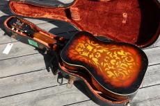Dobro Model 66_4