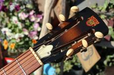 Dobro Model 66_10