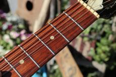 Dobro Model 66_11