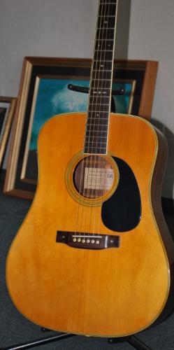 Cat's Eyes CE-300 