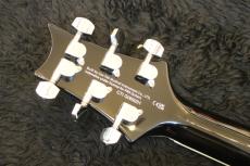 Paul Reed Smith [PRS] SE Custom 24 Quilt Package_10