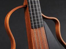 NATASHA NBSG Bass Fretless_4
