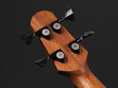 NATASHA NBSG Bass Fretless_9
