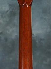 Martin Custom D-45 Aditondack Spruce Madagascar Rosewood_12