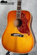 Gibson Hummingbird (1962-64) 良いルックスのハミングバード入荷しました!_4