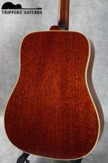 Gibson Hummingbird (1962-64) 良いルックスのハミングバード入荷しました!_5