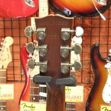 Gibson Les Paul BFG_5