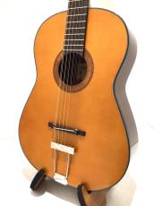Framus Hootenanny 12-String Vintage Tinted Nitro