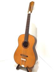 Framus Hootenanny 12-String Vintage Tinted Nitro_2