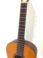 Framus Hootenanny 12-String Vintage Tinted Nitro_4
