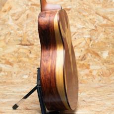 AYERS SJ08-NH Custom 2020_5