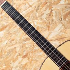 AYERS SJ08-NH Custom 2020_6