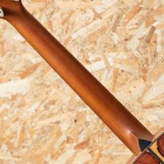 AYERS SJ08-NH Custom 2020_7