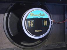 Roland Blues Cube Stage_6