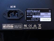 Roland Blues Cube Stage_7