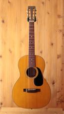 Martin 00-21 Custom_2