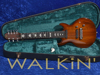The Twelfth Fret 7Strings