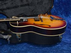 Archtop Tribute AT205MD_8