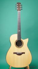 Enfini Custom Works (藤岡 光徳)MODEL Modified D Cutaway "Adirondack / Ziricote"_2